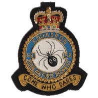 58 Squadron RAF Regiment wire blazer badge